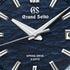 SIGA021 Watch - 2